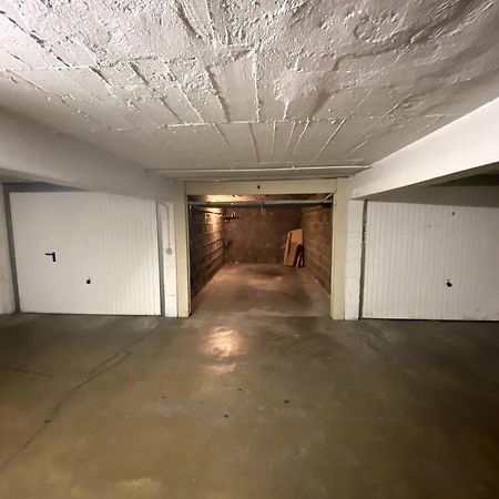 אנסי T3 De 73 M2 , Garage , Vue Montagnes Et Chateau מראה חיצוני תמונה
